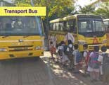 transport bus